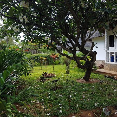 Karibuni Jeds Villas 85 & 86 Mambrui Экстерьер фото
